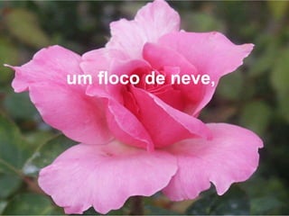 um floco de neve,  