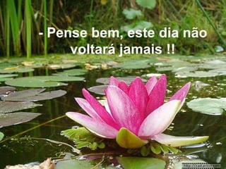 - Pense bem, este dia não voltará jamais !! 