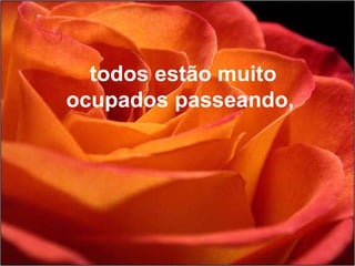 todos estão muito ocupados passeando,  