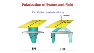 Tirf Microscope Image Rotation TIRF MICROSCOPE | PPTX