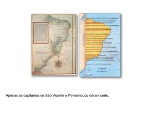 Apenas as capitanias de São Vicente e Pernambuco deram certo.
 