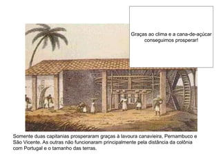 Somente duas capitanias prosperaram graças à lavoura canavieira, Pernambuco e
São Vicente. As outras não funcionaram principalmente pela distância da colônia
com Portugal e o tamanho das terras.
Graças ao clima e a cana-de-açúcar
conseguimos prosperar!
 