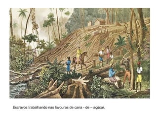 Escravos trabalhando nas lavouras de cana - de – açúcar.
 