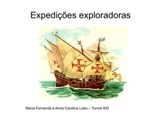 Expedições exploradoras
Maria Fernanda e Anna Carolina Lobo – Turma 403
 