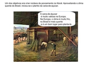 A cana-de-áçucar
é muito valiosa na Europa.
Na Europa, o clima é muito frio,
no Brasil é mais quente
e é um bom lugar para planta-lá.
Um dos objetivos era criar núcleos de povoamento no litoral. Aproveitando o clima
quente do Brasil, iniciou-se o plantio da cana-de-açúcar.
 