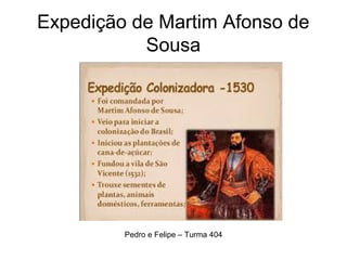 Expedição de Martim Afonso de
Sousa
Pedro e Felipe – Turma 404
 