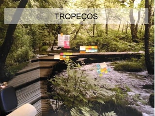 Globalcode – Open4education
TROPEÇOS
 