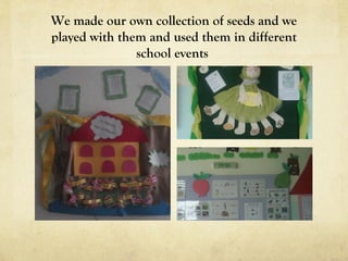 We made our own collection of seeds and we
played with them and used them in different
school events
 