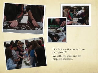 Finally it was time to start our
own garden!!!
We gathered seeds and we
prepared seedbeds.
 