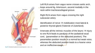 Left Rln Path Total Thyroidectomi (Optek) | PPT
