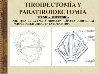TIROIDECTOMÍA Y
PARATIROIDECTOMÍA
TÉCNICA QUIRÚRGICA
ABERTURA DE LA FASCIA PROFUNDA (CÁPSULA QUIRÚRGICA)
INCISIÓN LONGITUDINAL EN LA LÍNEA MEDIA.
 