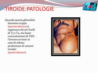 TIROIDE:PATOLOGIEQuando questa ghiandola funziona troppo (ipertiroidismo) si registrano elevati livelli di T3 e T4, ma basse concentrazioni di TSH; l’inverso avviene in caso di ridotta produzione di ormoni tiroidei (ipotiroidismo). 