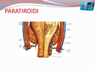 PARATIROIDI