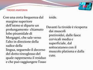 TIROIDE:ANATOMIACon una certa frequenza dal margine superiore dell’istmo si diparte un prolungamento  chiamato lobo piramidale di Morgagni, che sale verso l’alto in direzione della radice della lingua, seguendo il decorso del dotto tireoglosso del quale rappresenta il residuo e che può raggiungere l’osso ioide.Davanti la tiroide è ricoperta dai muscoli pretiroidei, dalle fasce cervicali media e superficiale, dal sottocutaneo con il muscolo platisma e dalla cute.