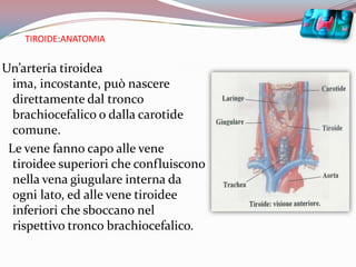TIROIDE:ANATOMIAUn’arteria tiroidea ima, incostante, può nascere direttamente dal tronco      brachiocefalico o dalla carotide comune.  Le vene fanno capo alle vene tiroidee superiori che confluiscono nella vena giugulare interna da ogni lato, ed alle vene tiroidee inferiori che sboccano nel rispettivo tronco brachiocefalico.