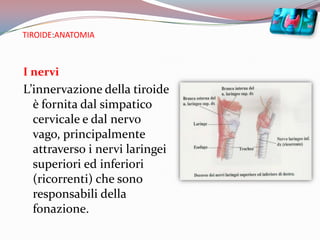 TIROIDE:ANATOMIAI nerviL’innervazione della tiroide è fornita dal simpatico cervicale e dal nervo vago, principalmente attraverso i nervi laringei superiori ed inferiori (ricorrenti) che sono responsabili della fonazione.