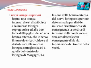 TIROIDE:ANATOMIAI nervi laringei superiori hanno una branca interna, che si distribuisce alla mucosa laringea sopraglottica ed alle due facce dell’epiglottide, ed una branca esterna, che innerva il muscolo cricotiroideo e si distribuisce alla mucosa laringea sottoglottica ed a quella del ventricolo laringeo di Morgagni, La lesione della branca esterna del nervo laringeo superiore determina la paralisi del muscolo cricotiroideo e di conseguenza la perdita di tensione della corda vocale vera omolaterale con conseguente disfonia (alterazione del timbro della voce).