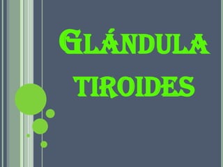 GLÁNDULA
TIROIDES
 