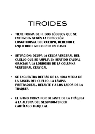 TIROIDES!
•  TIENE FORMA DE H; DOS LÓBULOS QUE SE
   EXTIENDEN SEGÚN LA DIRECCIÓN
   LONGITUDINAL DEL CUERPO, DERECHO E
   IZQUIERDO UNIDOS POR UN ISTMO

•  SITUACIÓN: OCUPA LA CELDA VESCERAL DEL
   CUELLO QUE SE AMPLIA EN SENTIDO CAUDAL
   GRACIAS A LA LORDOSIS DE LA COLUMNA
   VERTEBRAL CERVICAL

•  SE ENCUENTRA DETRÁS DE LA HOJA MEDIA DE
   LA FASCIA DEL CUELLO, LA LÁMINA
   PRETRAQUEAL, DELANTE Y A LOS LADOS DE LA
   TRÁQUEA

•  EL ISTMO CRUZA POR DELANTE DE LA TRÁQUEA
   A LA ALTURA DEL SEGUNDO-TERCER
   CARTÍLAGO TRAQUEAL
 