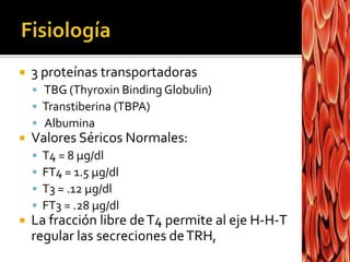  3 proteínas transportadoras
 TBG (Thyroxin Binding Globulin)
 Transtiberina (TBPA)
 Albumina
 Valores Séricos Normales:
 T4 = 8 µg/dl
 FT4 = 1.5 µg/dl
 T3 = .12 µg/dl
 FT3 = .28 µg/dl
 La fracción libre deT4 permite al eje H-H-T
regular las secreciones deTRH,
 