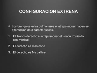 CONFIGURACION EXTRENA
Los bronquios extra pulmonares e intrapulmonar nacen se
diferencian de 3 características.
1. El Tronco derecho e intrapulmonar el tronco izquierdo
casi vertical,
2. El derecho es más corto
3. El derecho es Ms calibre.
 