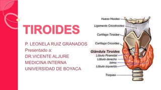 P. LEONELA RUIZ GRANADOS 
Presentado a: 
DR.VICENTE ALJURE 
MEDICINA INTERNA 
UNIVERSIDAD DE BOYACA 
 