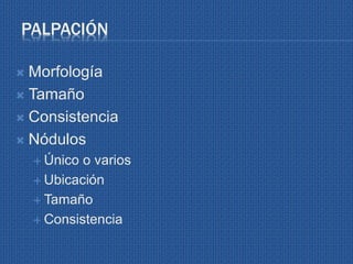 PALPACIÓN
 Morfología
 Tamaño
 Consistencia
 Nódulos
 Único o varios
 Ubicación
 Tamaño
 Consistencia
 