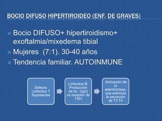 BOCIO DIFUSO HIPERTIROIDEO (ENF. DE GRAVES)
 Bocio DIFUSO+ hipertiroidismo+
exoftalmia/mixedema tibial
 Mujeres (7:1). 30-40 años
 Tendencia familiar. AUTOINMUNE
Defecto
Linfocitos T
Supresores
Linfocitos B:
Producción
de Ac (IgG)
vs receptor de
TSH
Activación de
la
adenilciclasa,
que estimula
la secreción
de T3 T4
 
