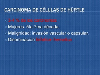 CARCINOMA DE CÉLULAS DE HÜRTLE
 3-4 % de los carcinomas
 Mujeres. 5ta-7ma década.
 Malignidad: invasión vascular o capsular.
 Diseminación linfatica- hematica
 