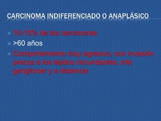 CARCINOMA INDIFERENCIADO O ANAPLÁSICO
 10-15% de los carcinomas
 >60 años
 Comportamiento muy agresivo, con invasión
precoz a los tejidos circundantes, mts
ganglionar y a distancia
 