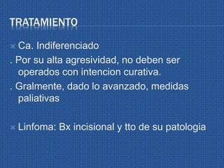 TRATAMIENTO
 Ca. Indiferenciado
. Por su alta agresividad, no deben ser
operados con intencion curativa.
. Gralmente, dado lo avanzado, medidas
paliativas
 Linfoma: Bx incisional y tto de su patologia
 