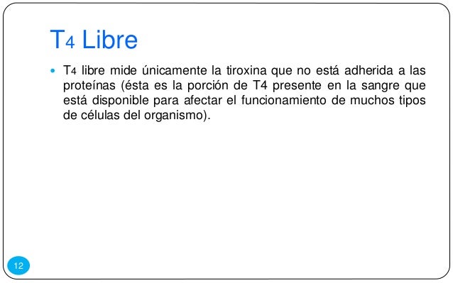 Que Es Hormona T4 Libre