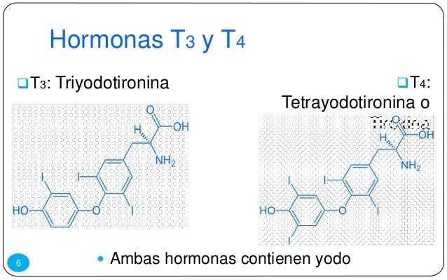 Tiroides Tiroides