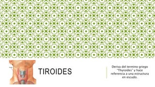 TIROIDES
Deriva del termino griego
“Thyroides” y hace
referencia a una estructura
en escudo.
 