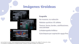Imágenes tiroideas
Ecografía
No invasiva, no radiación
Nódulos quísticos VS sólidos
Textura, forma, bordes, calciﬁcaciones...
