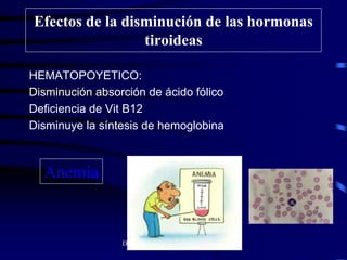 Dra. CARMEN Z. MOLINA V. 2010
Efectos de la disminución de las hormonas
tiroideas
HEMATOPOYETICO:
Disminución absorción de ácido fólico
Deficiencia de Vit B12
Disminuye la síntesis de hemoglobina
•Anemia
 