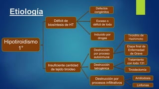 Etiología
Hipotiroidismo
1°
Insuficiente cantidad
de tejido tiroideo
Destrucción
por proceso
autoinmune
Tiroiditis de
Hashimoto
Etapa final de
Enfermedad
de Grave
Destrucción
Iatrogénica
Tratamiento
con Iodo 131
Tiroidectomía
Destrucción por
procesos infiltrativos
Amiliodosis
Linfomas
Déficit de
biosíntesis de HT
Defectos
congénitos
Exceso o
déficit de Iodo
Inducido por
drogas
 