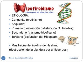  ETIOLOGÍA: 
 Congenita (cretinismo) 
 Adquirida: 
 Primario (destrucción o disfunción G. Tiroides) 
 Secundario (trastorno hipofisario) 
 Terciario (disfunción del Hipotalamo) 
 Más frecuente tiroiditis de Hashimoto 
(destrucción de la glandula por anticuerpos) 
12 Brenda Escarlet Lomeli González 20/09/2014 
 