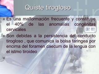 ysl velvet cream 206