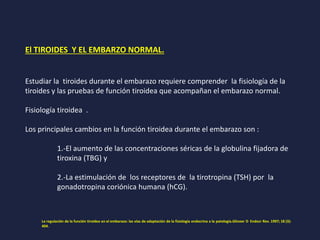 El TIROIDES Y EL EMBARZO NORMAL.
Estudiar la tiroides durante el embarazo requiere comprender la fisiología de la
tiroides y las pruebas de función tiroidea que acompañan el embarazo normal.
Fisiología tiroidea .
Los principales cambios en la función tiroidea durante el embarazo son :
1.-El aumento de las concentraciones séricas de la globulina fijadora de
tiroxina (TBG) y
2.-La estimulación de los receptores de la tirotropina (TSH) por la
gonadotropina coriónica humana (hCG).
La regulación de la función tiroidea en el embarazo: las vías de adaptación de la fisiología endocrina a la patología.Glinoer D Endocr Rev. 1997; 18 (3):
404.
 