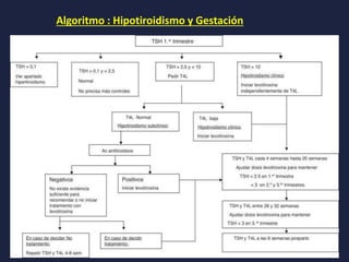 Algoritmo : Hipotiroidismo y Gestación
 