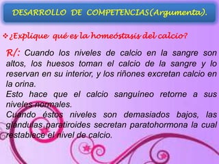 DESARROLLO DE COMPETENCIAS(Argumenta).
¿Explique qué es la homeóstasis del calcio?

R/: Cuando los niveles de calcio en la sangre son
altos, los huesos toman el calcio de la sangre y lo
reservan en su interior, y los riñones excretan calcio en
la orina.
Esto hace que el calcio sanguíneo retorne a sus
niveles normales.
Cuando éstos niveles son demasiados bajos, las
glándulas paratiroides secretan paratohormona la cual
restablece el nivel de calcio.

 