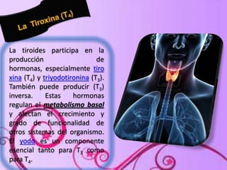 La tiroides participa en la
producción
de
hormonas, especialmente tiro
xina (T4) y triyodotironina (T3).
También puede producir (T3)
inversa.
Estas
hormonas
regulan el metabolismo basal
y afectan el crecimiento y
grado de funcionalidad de
otros sistemas del organismo.
El yodo es un componente
esencial tanto para T3 como
para T4.

 