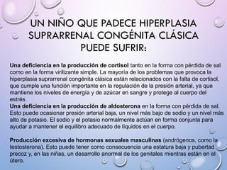 UN NIÑO QUE PADECE HIPERPLASIA
SUPRARRENAL CONGÉNITA CLÁSICA
PUEDE SUFRIR:
Una deficiencia en la producción de cortisol tanto en la forma con pérdida de sal
como en la forma virilizante simple. La mayoría de los problemas que provoca la
hiperplasia suprarrenal congénita clásica están relacionados con la falta de cortisol,
que cumple una función importante en la regulación de la presión arterial, ya que
mantiene los niveles de energía y de azúcar en sangre y protege al cuerpo del
estrés.
Una deficiencia en la producción de aldosterona en la forma con pérdida de sal.
Esto puede ocasionar presión arterial baja, un nivel más bajo de sodio y un nivel más
alto de potasio. El sodio y el potasio normalmente actúan en forma conjunta para
ayudar a mantener el equilibro adecuado de líquidos en el cuerpo.
Producción excesiva de hormonas sexuales masculinas (andrógenos, como la
testosterona). Esto puede tener como consecuencia una estatura baja y pubertad
precoz y, en las niñas, un desarrollo anormal de los genitales mientras están en el
útero.
 
