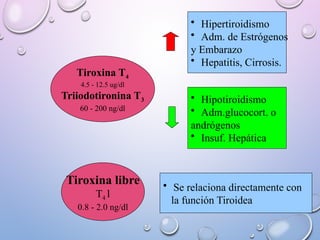 Tiroxina T4
4.5 - 12.5 ug/dl
Triiodotironina T3
60 - 200 ng/dl
• Hipertiroidismo
• Adm. de Estrógenos
y Embarazo
• Hepatitis, Cirrosis.
• Hipotiroidismo
• Adm.glucocort. o
andrógenos
• Insuf. Hepática
Tiroxina libre
T4 l
0.8 - 2.0 ng/dl
• Se relaciona directamente con
la función Tiroidea
 