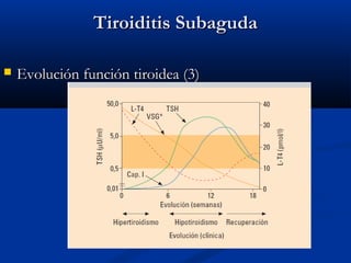TTiirrooiiddiittiiss SSuubbaagguuddaa 
 EEvvoolluucciióónn ffuunncciióónn ttiirrooiiddeeaa ((33)) 
 