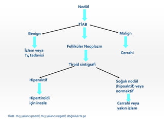 Nodül
TİAB
Folliküler Neoplazm
Tiroid sintigrafi
Hiperaktif
Hipertiroidi
için incele
Benign Malign
İzlem veya
T4 tedavisi
Cerrahi
Soğuk nodül
(hipoaktif) veya
normaktif
Cerrahi veya
yakın izlem
TİAB : % 5 yalancı pozitif, % 5 yalancı negatif, doğruluk % 90
 