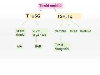 Tiroid nodülü
>1 cm
veya riskli
<1 cm
risksiz
izle İİAB
TSH,T4
T USG
Hipertiroid ötiroid Hipotiroid
Tiroid
sintigrafisi
 
