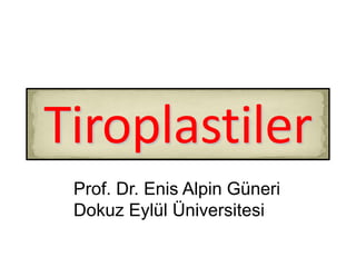 Prof. Dr. Enis Alpin Güneri
Dokuz Eylül Üniversitesi
 