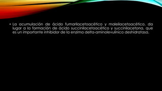 • La acumulación de ácido fumarilacetoacético y maleilacetoacético, da
lugar a la formación de ácido succinilacetoacético y succinilacetona, que
es un importante inhibidor de la enzima delta-aminolevulínico deshidratasa.
 